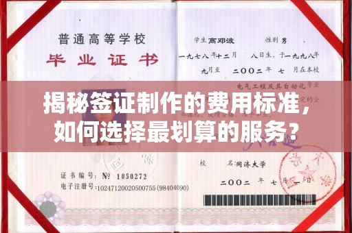 连云揭秘签证制作的费用标准，如何选择最划算的服务？