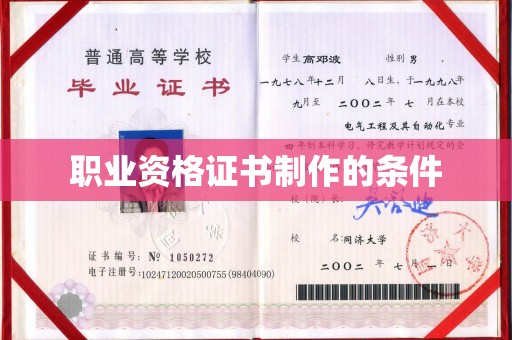 连云职业资格证书制作的条件