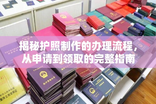 连云揭秘护照制作的办理流程，从申请到领取的完整指南