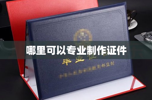 连云哪里可以专业制作证件