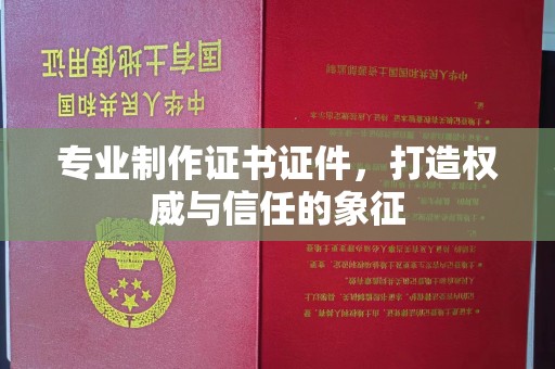 连云专业制作证书证件，打造权威与信任的象征