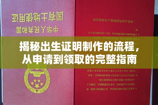 连云揭秘出生证明制作的流程，从申请到领取的完整指南