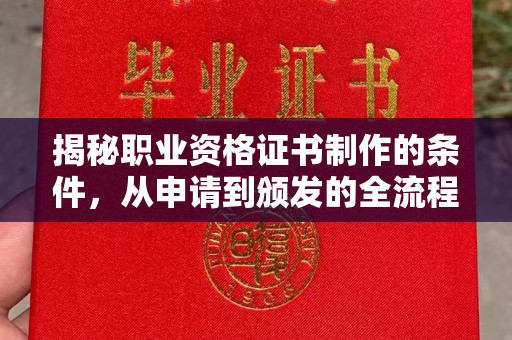 连云揭秘职业资格证书制作的条件，从申请到颁发的全流程解析