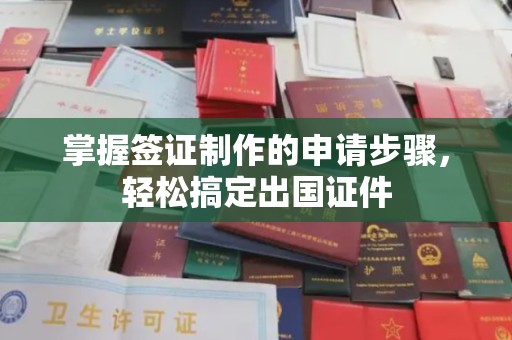 连云掌握签证制作的申请步骤，轻松搞定出国证件