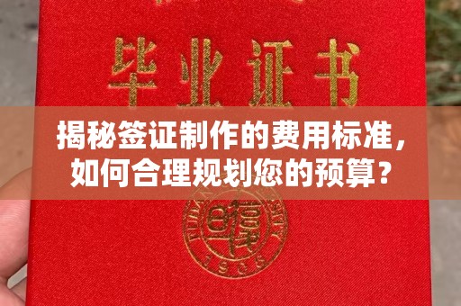 连云揭秘签证制作的费用标准，如何合理规划您的预算？