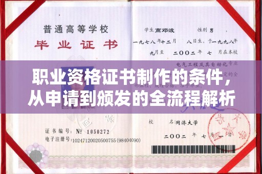 连云职业资格证书制作的条件，从申请到颁发的全流程解析