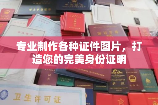连云专业制作各种证件图片，打造您的完美身份证明