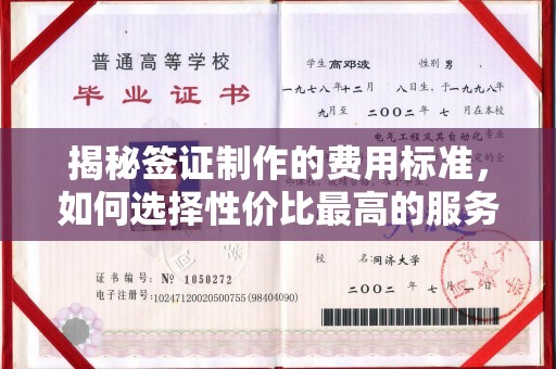 连云揭秘签证制作的费用标准，如何选择性价比最高的服务？