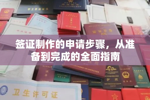 连云签证制作的申请步骤，从准备到完成的全面指南