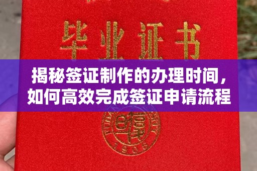 连云揭秘签证制作的办理时间，如何高效完成签证申请流程