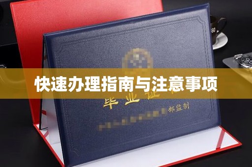 连云快速办理指南与注意事项